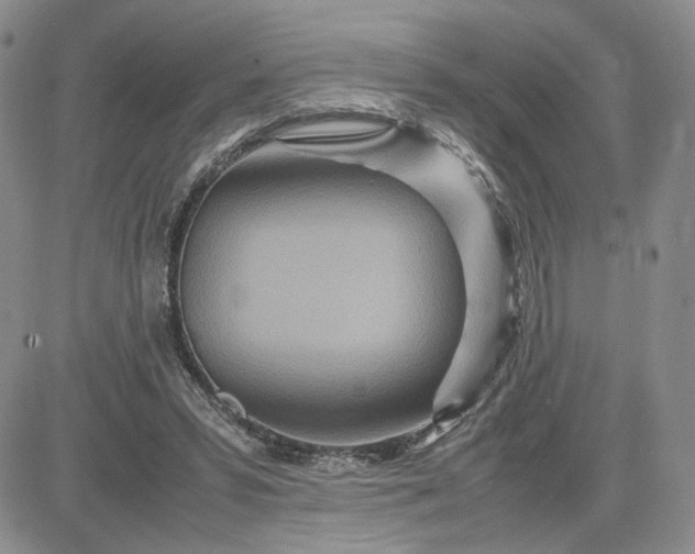 X0000083660399200702261147