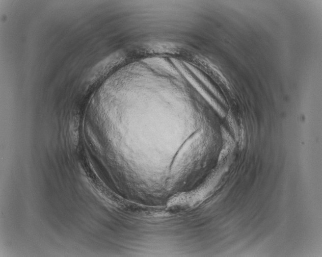X0000083660402200702261147