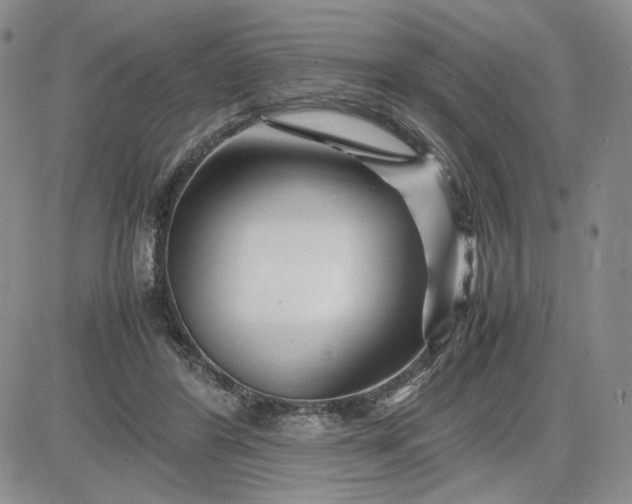 X0000083660404200702261147