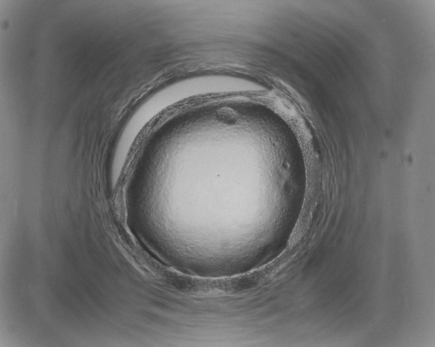 X0000083660405200702261147