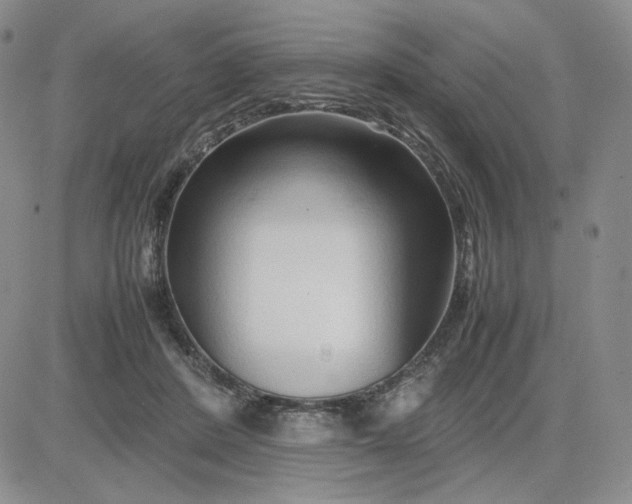 X0000083660408200702261147