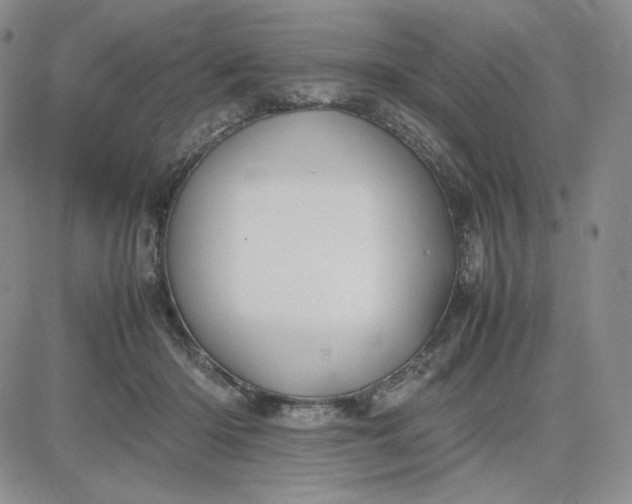 X0000083660414200702261147