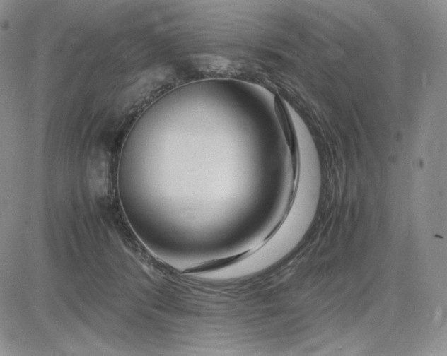 X0000083660416200702261146