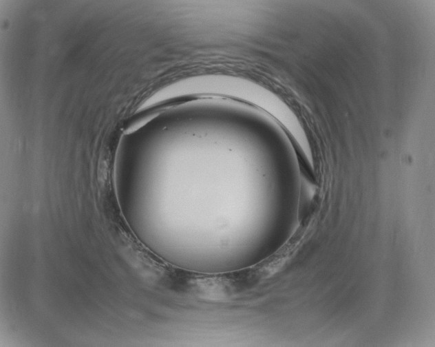 X0000083660417200702261146