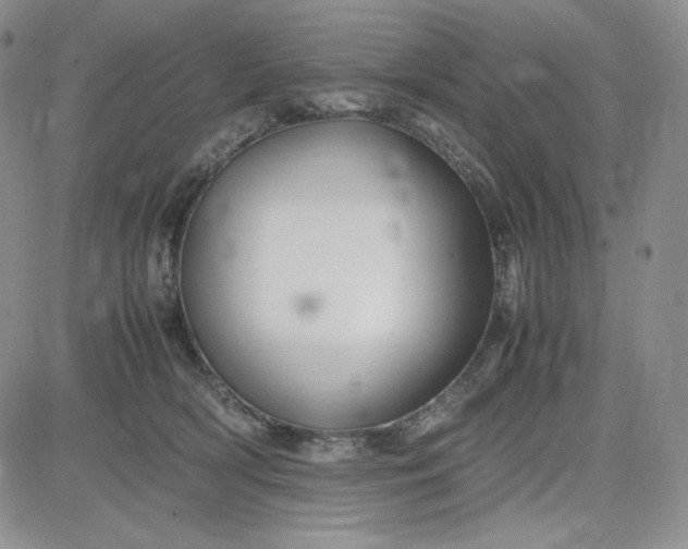 X0000083660418200702261146