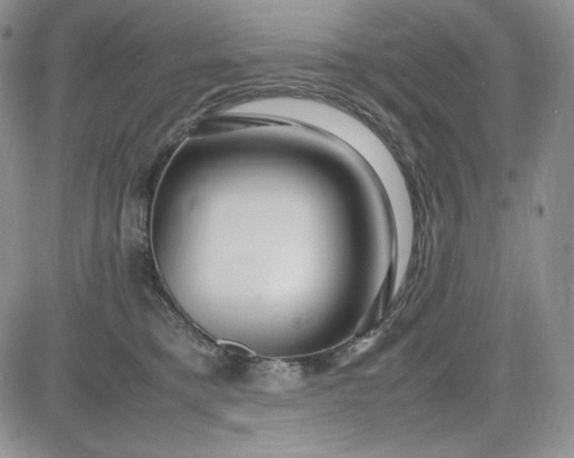 X0000083660421200702261146
