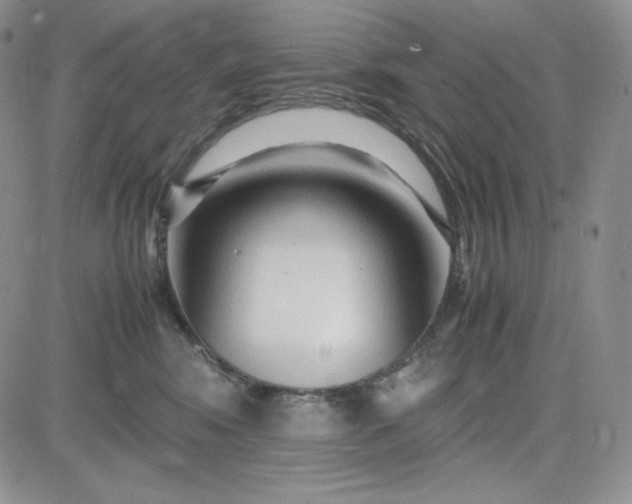 X0000083660424200702261146