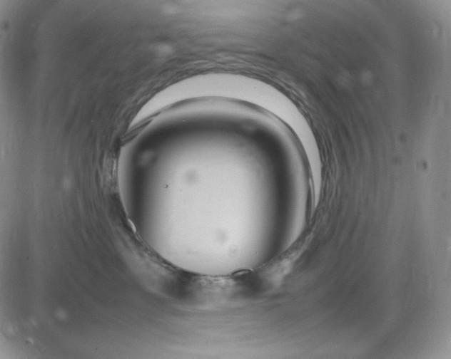 X0000083660429200702261146