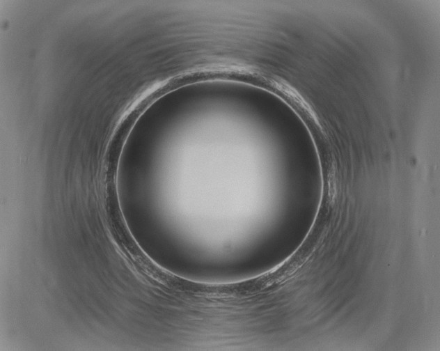 X0000083660436200702261145