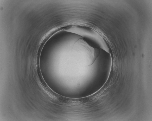 X0000083660438200702261146