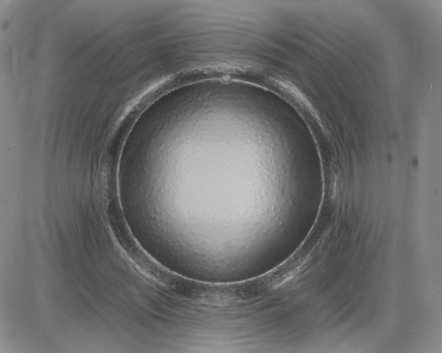 X0000083660444200702261146