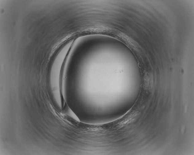 X0000083660446200702261146