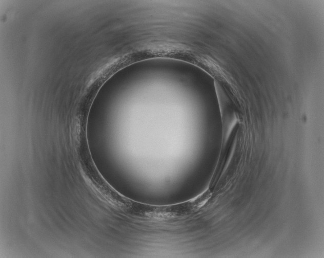 X0000083660448200702261146