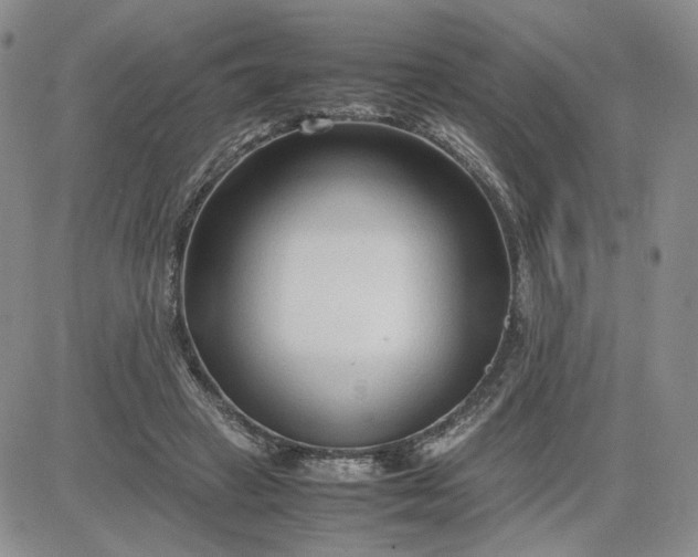 X0000083660449200702261146