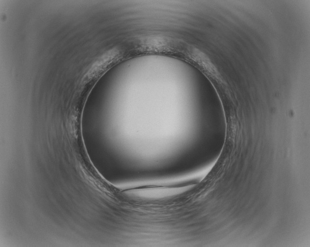 X0000083660450200702261146