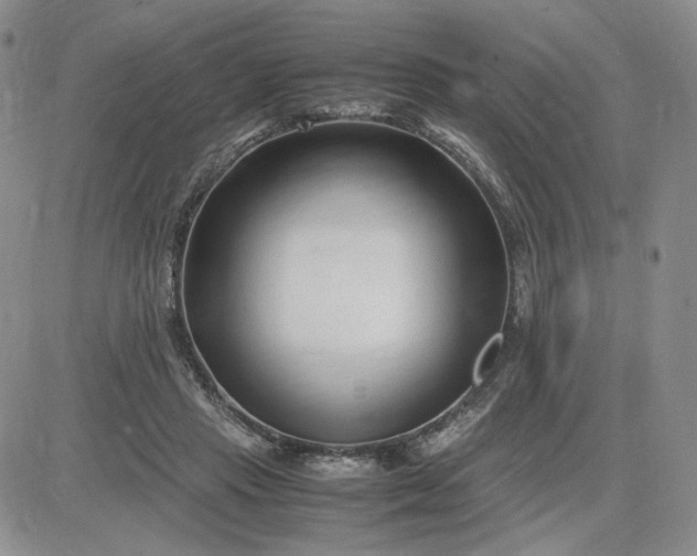 X0000083660453200702261146