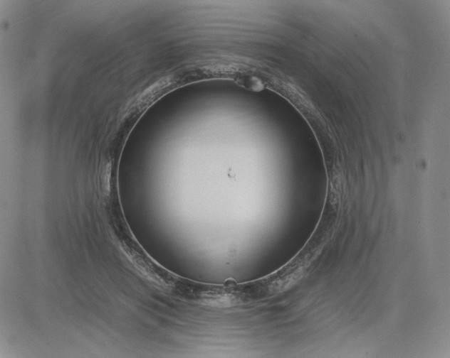 X0000083660454200702261146
