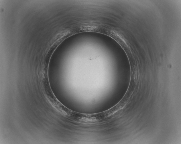 X0000083660455200702261146