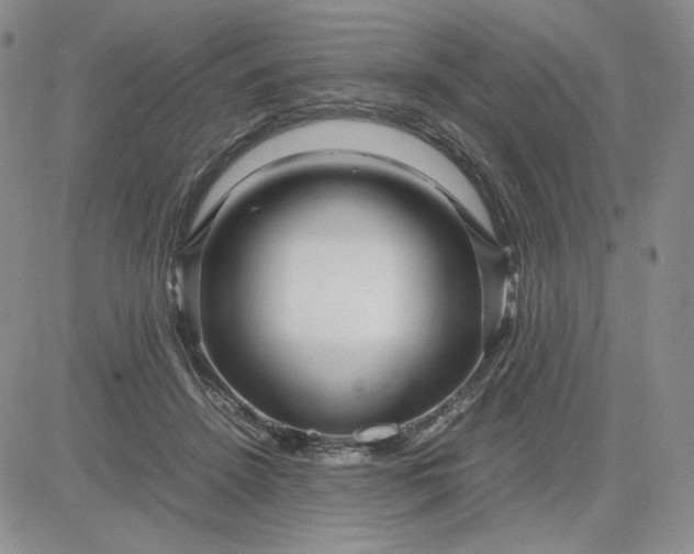 X0000083660456200702261146