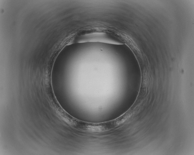 X0000083660457200702261146