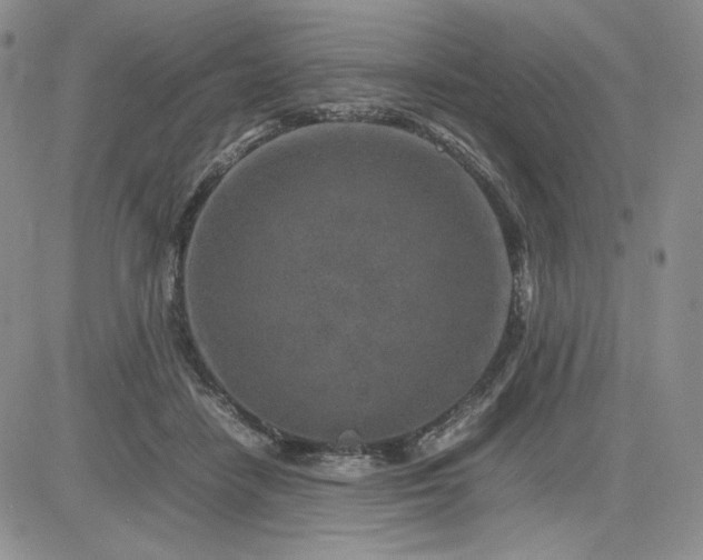X0000083660458200702261146