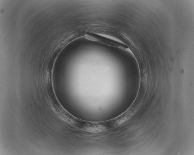 X0000083660459200702261146
