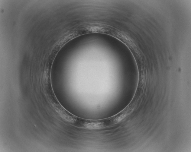 X0000083660461200702261146
