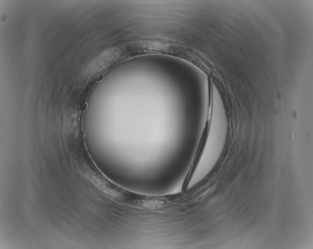 X0000083660462200702261146