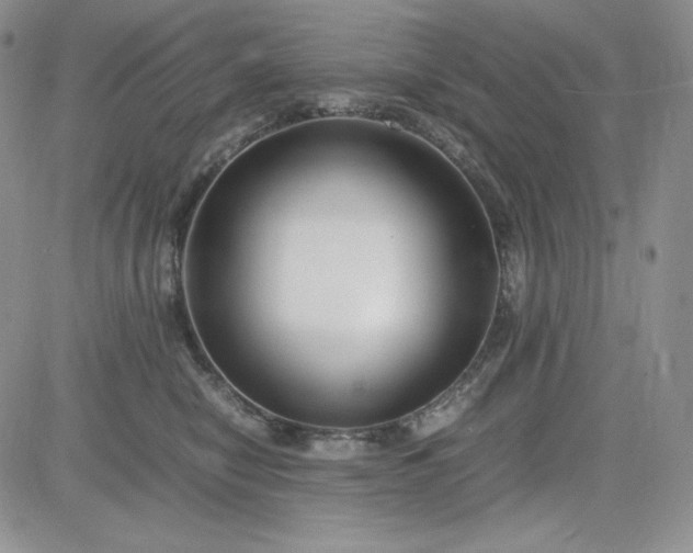 X0000083660470200702261146