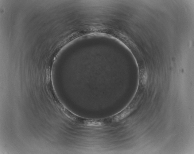 X0000083660471200702261146