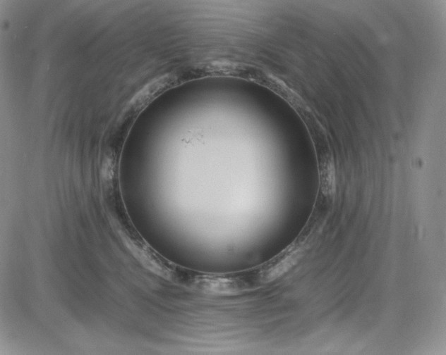 X0000083660472200702261146