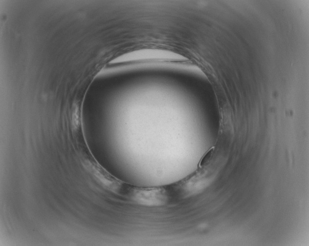 X0000083660479200702261146