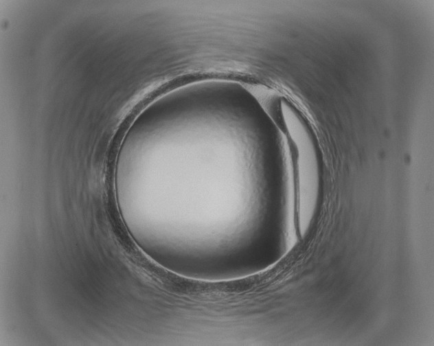 X0000083660483200702261145