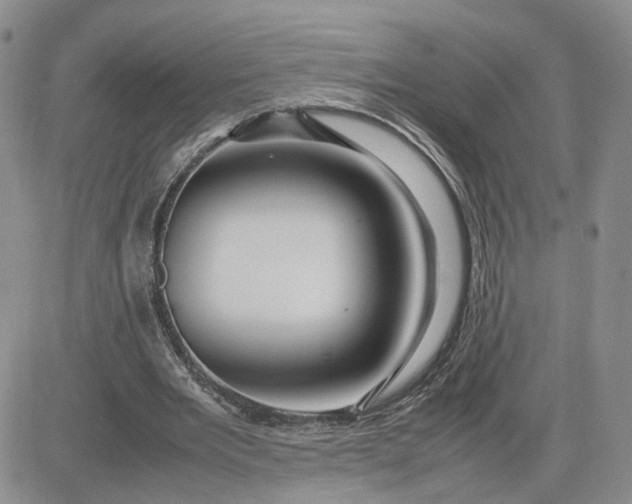 X0000083660485200702261145