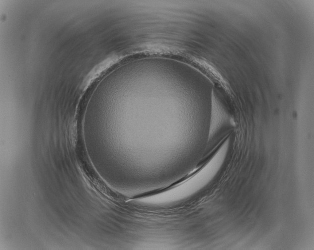 X0000083660488200702261145