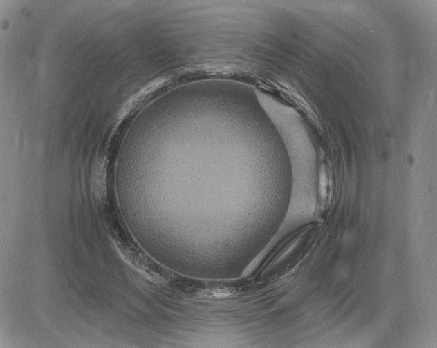 X0000083660492200702261145