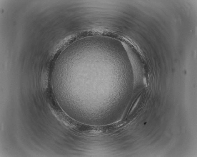 X0000083660496200702261145