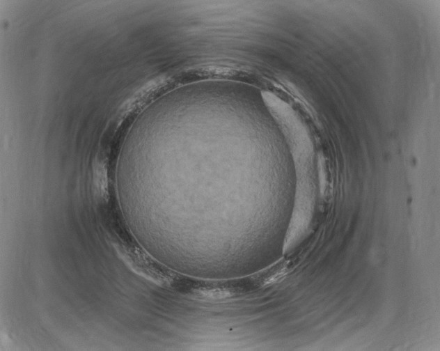 X0000083660500200702261145