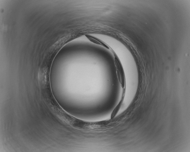 X0000083660501200702261145