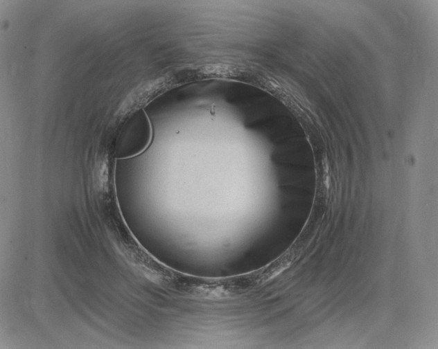 X0000083660502200702261145