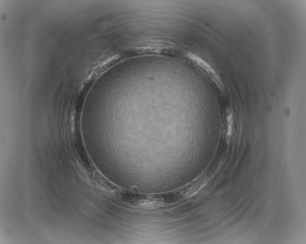 X0000083660504200702261145
