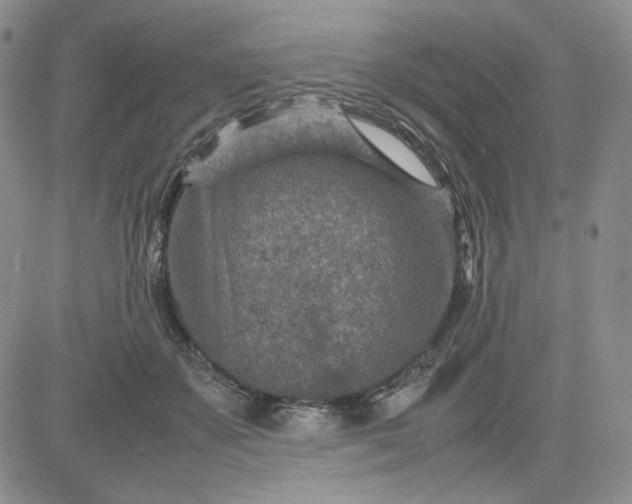 X0000083660507200702261145