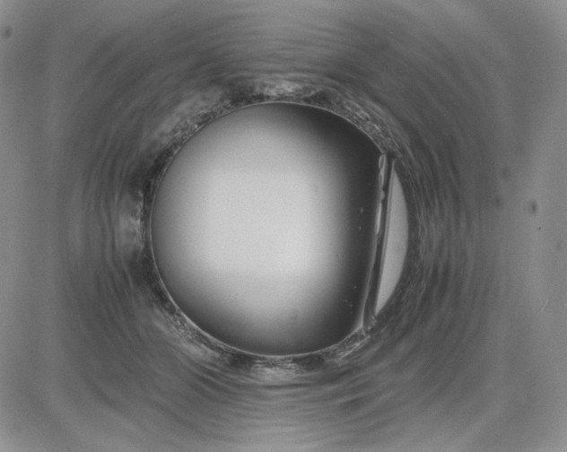 X0000083660510200702261145