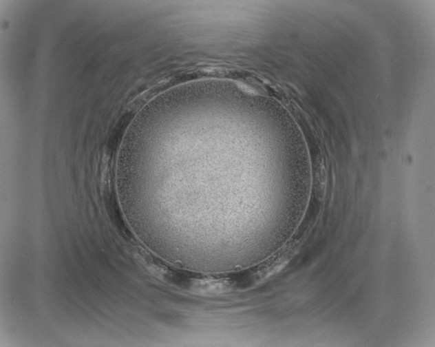 X0000083660511200702261145