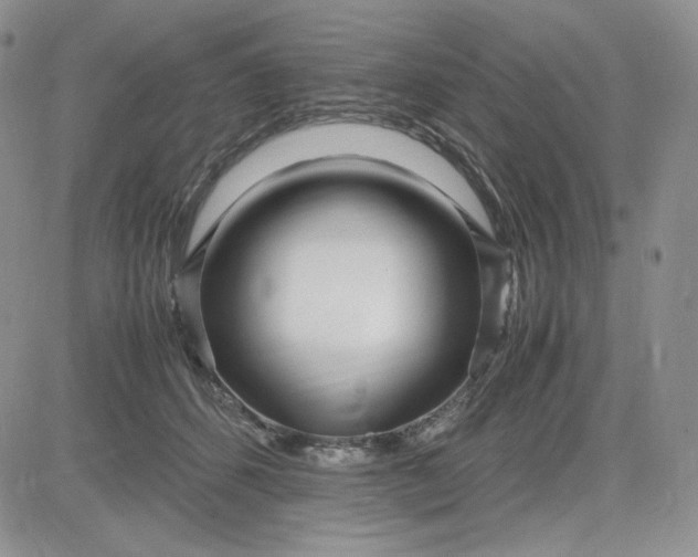X0000083660512200702261145
