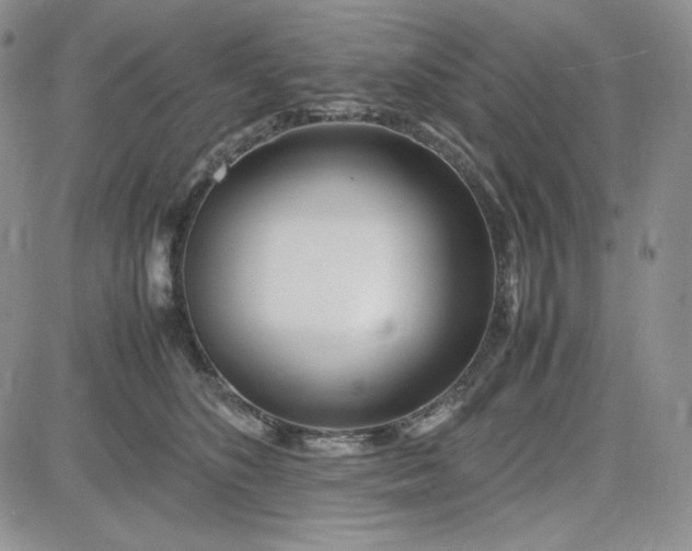 X0000083660516200702261145