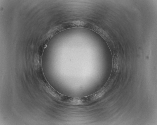 X0000083660518200702261145