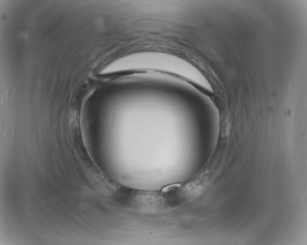 X0000083660521200702261145