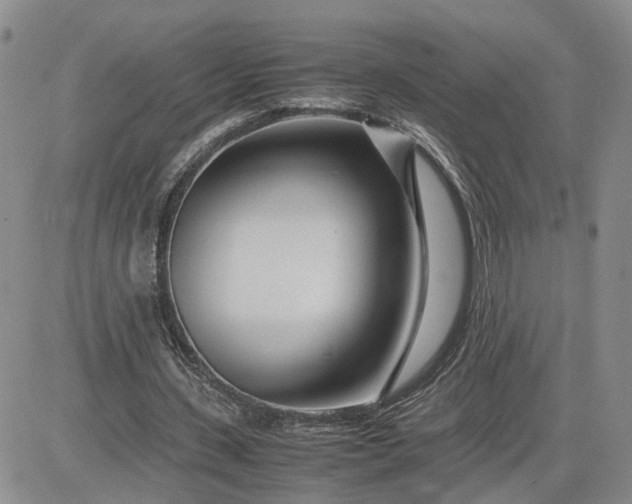 X0000083660531200702261144