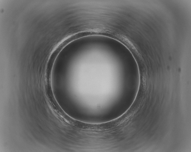 X0000083660532200702261144